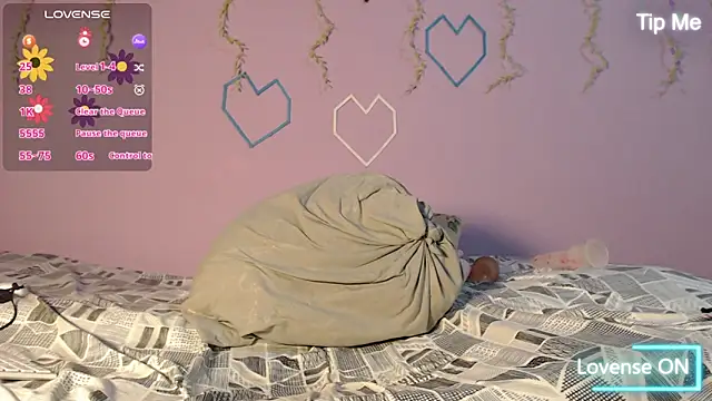 Dante Bear  online show from 02-13-26, 11:17