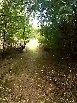 Snapshot of nataliecdlive chatting on 09-13-25, 01:33 nataliecdlive online show from 09-13-25, 01:33