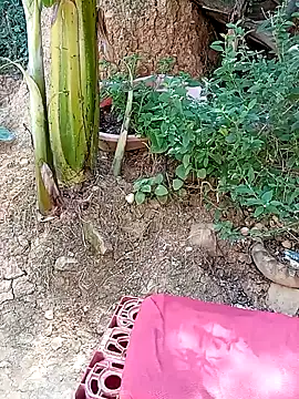 Snapshot of tayson_ chatting on 01-11-25, 03:20 tayson online show from 01-11-25, 03:20