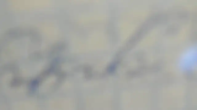 elis gabbi online show from 09-09-25, 12:59