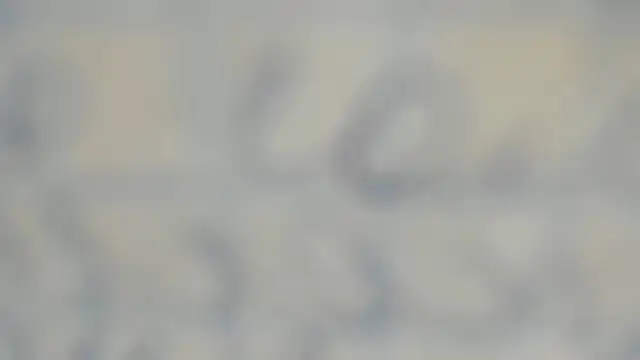 elis gabbi online show from 09-12-25, 01:00