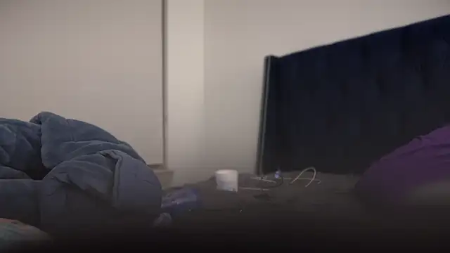 bearcloudcomputa online show from 01-29-25, 11:56