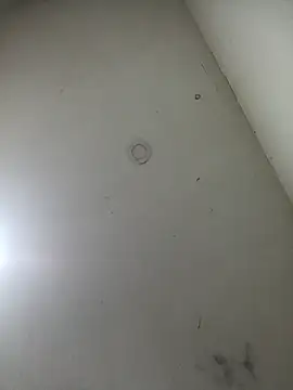 jeremiabello online show from 03-17-25, 10:49