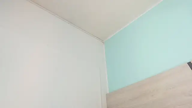 violeta leon online show from 12-29-24, 01:24