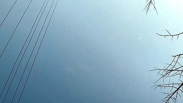 QianF-666 online show from 02-13-25, 09:30