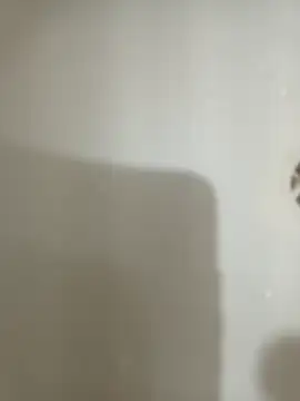 Snapshot of 1995eduardo chatting on 02-17-25, 03:53 1995eduardo online show from 02-17-25, 03:53