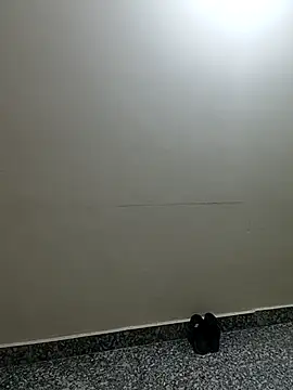 Saroj-Shah online show from 04-02-26, 03:37