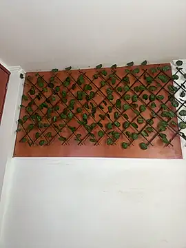 Snapshot of Emily_Trujillo chatting on 11-08-25, 05:34 Emily Trujillo online show from 11-08-25, 05:34