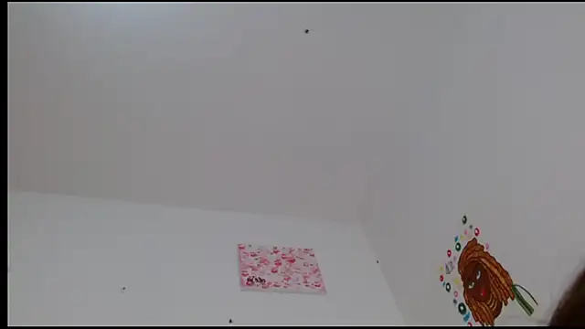 Snapshot of kity__ chatting on 02-24-25, 04:58 kity online show from 02-24-25, 04:58