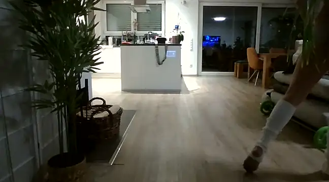 Snapshot of SportyspiceDanny chatting on 12-22-24, 06:37 SportyspiceDanny online show from 12-22-24, 06:37