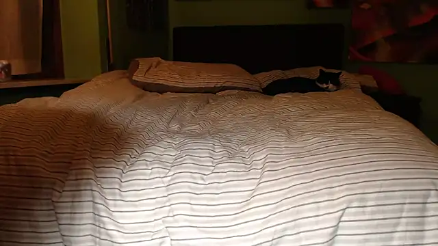 Snapshot of MASTERBULLY chatting on 02-19-25, 11:36 MASTERBULLY online show from 02-19-25, 11:36