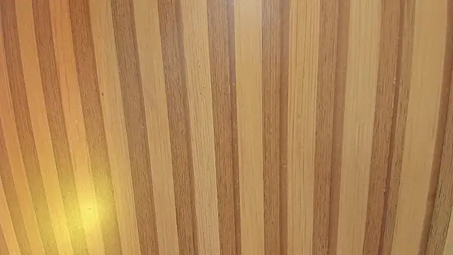 Taylor  cooper online show from 02-06-26, 06:22