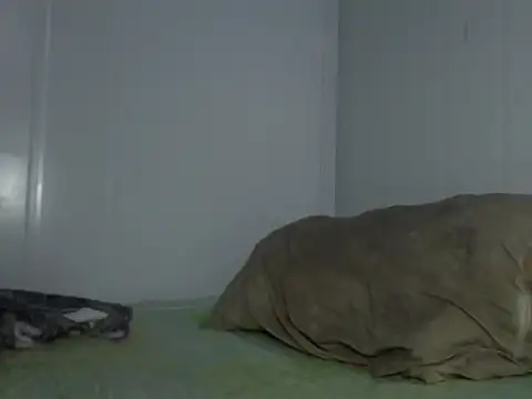 serjdj90 online show from 11-11-25, 08:03