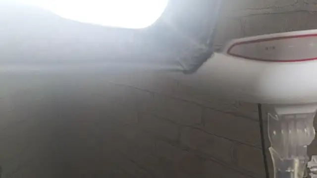 Nika Kitten online show from 01-12-26, 09:58