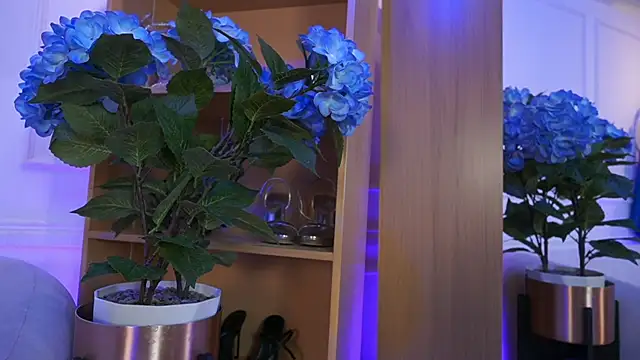 elasummer online show from 02-04-26, 02:23