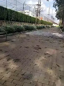 mehdi-l7away online show from 03-09-26, 03:05