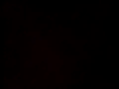 linksjack1010 online show from 02-23-25, 09:37