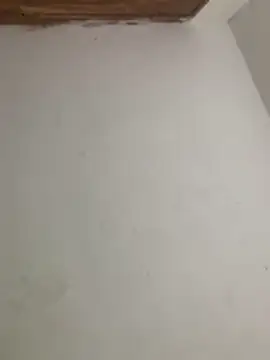 menorbnx online show from 11-09-25, 06:33