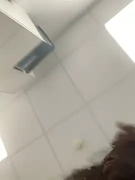 Snapshot of bonbonaumiel chatting on 12-14-24, 08:56 bonbonaumiel online show from 12-14-24, 08:56