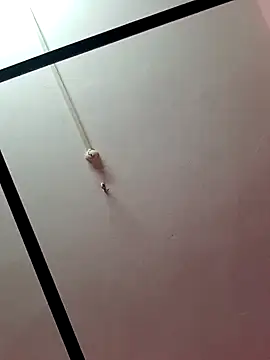 Lexi Baby  online show from 12-21-24, 10:39