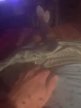 solomec online show from 10-13-25, 08:42