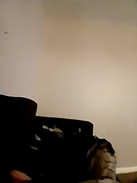 willywonka7793 online show from 12-16-24, 05:33