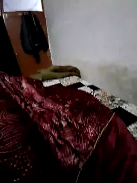 menakshiiikaur online show from 12-13-24, 02:16