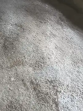 SisterlyFarmhand online show from 10-12-25, 10:58