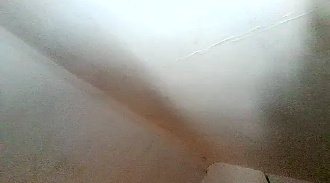 unclestefansdick online show from 12-10-24, 06:28