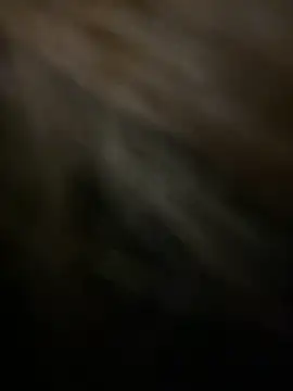 KitteCat online show from 01-04-25, 02:46