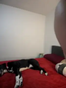 ariiel  online show from 02-03-25, 10:43