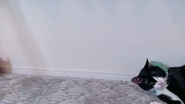 Snapshot of Risa_06 chatting on 06-03-26, 01:14 Risa 06 online show from 06-03-26, 01:14