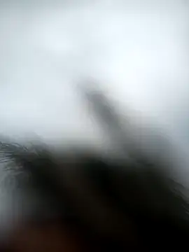 andres599 online show from 01-09-25, 05:22