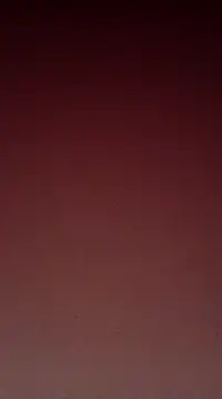 Snapshot of Sexy-Mona2 chatting on 12-13-24, 12:06 Sexy-Mona2 online show from 12-13-24, 12:06