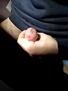 HardWolf2024 online show from 01-23-25, 08:56