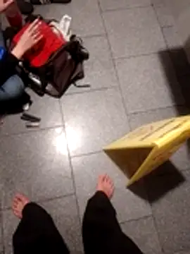 subaru8291 online show from 10-30-25, 11:55