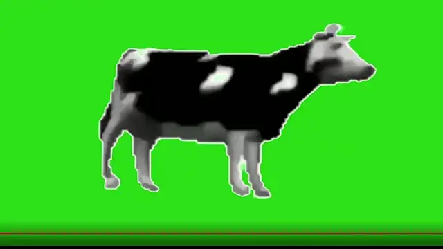 awesome anna online show from 02-13-26, 10:55