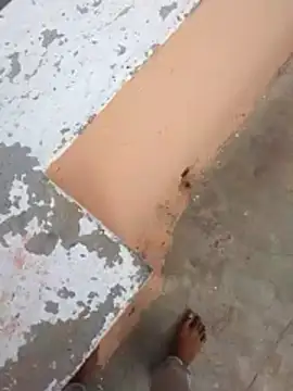 Snapshot of PracticalGum40 chatting on 02-21-26, 03:07 PracticalGum40 online show from 02-21-26, 03:07