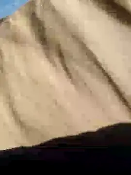 Snapshot of CptDickX258 chatting on 01-12-25, 05:22 CptDickX258 online show from 01-12-25, 05:22