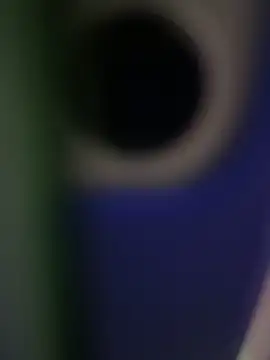 Snapshot of rodrigo21Cm_ chatting on 02-14-25, 09:32 rodrigo21Cm online show from 02-14-25, 09:32