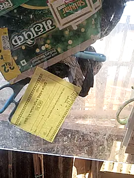 Snapshot of Skinny_Bigass_23 chatting on 11-16-25, 07:25 Skinny Bigass 23 online show from 11-16-25, 07:25