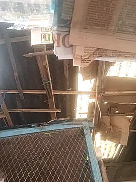 Snapshot of Skinny_Bigass_23 chatting on 12-01-25, 07:57 Skinny Bigass 23 online show from 12-01-25, 07:57