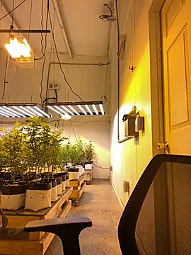 jr91esl online show from 03-02-25, 06:05