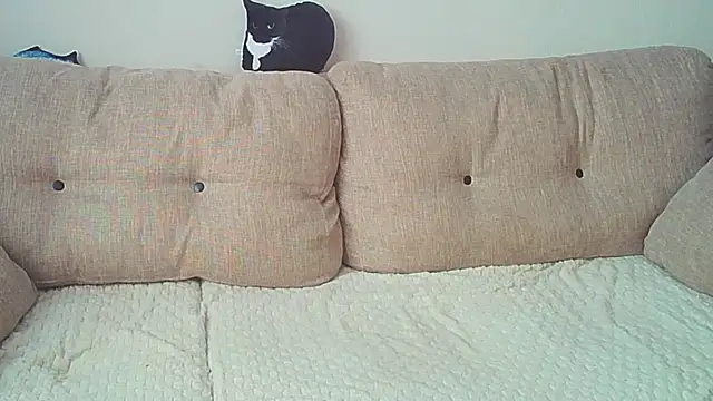 Snapshot of Ostin_meow chatting on 12-26-24, 08:07 Ostin meow online show from 12-26-24, 08:07