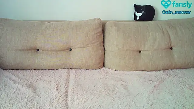 Snapshot of Ostin_meow chatting on 02-20-25, 06:39 Ostin meow online show from 02-20-25, 06:39