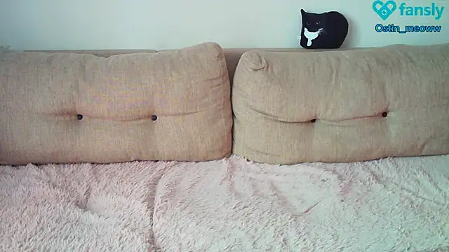 Snapshot of Ostin_meow chatting on 02-22-25, 07:45 Ostin meow online show from 02-22-25, 07:45