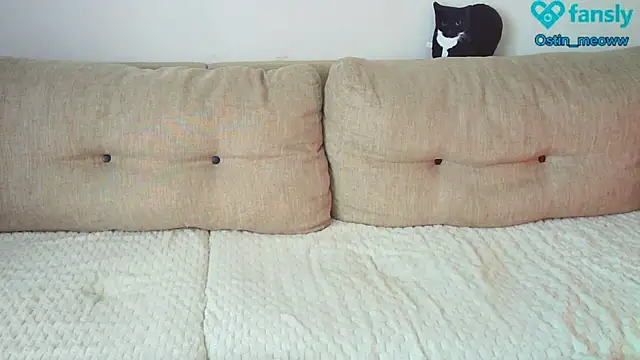 Snapshot of Ostin_meow chatting on 02-25-25, 08:14 Ostin meow online show from 02-25-25, 08:14