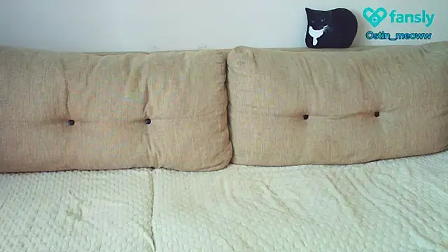 Snapshot of Ostin_meow chatting on 03-19-25, 06:14 Ostin meow online show from 03-19-25, 06:14