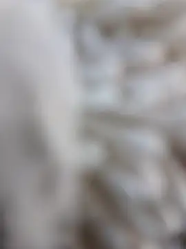 lemon69Reo online show from 02-15-26, 08:38