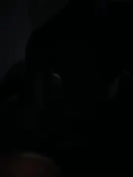 Bignc online show from 03-27-26, 11:32